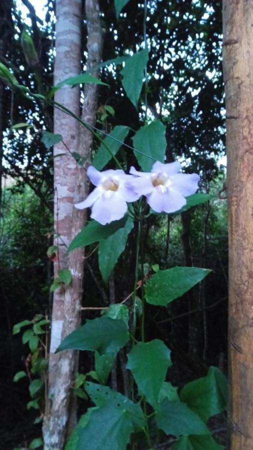 Casa De Campo Banheira, Lareira E Cachoeira Pedra Azul  Eksteriør bilde
