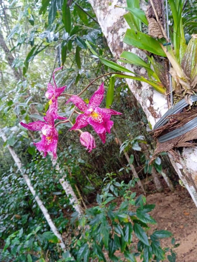Casa De Campo Banheira, Lareira E Cachoeira Pedra Azul  Eksteriør bilde